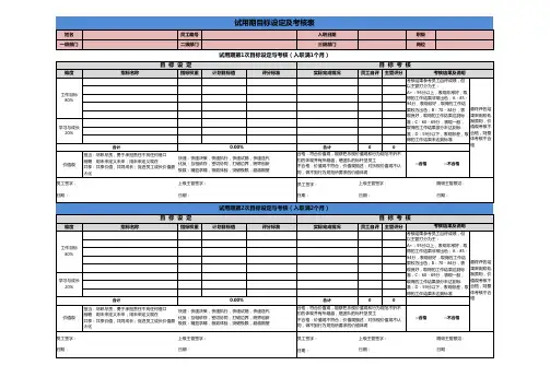 试用期目标设定及考核表