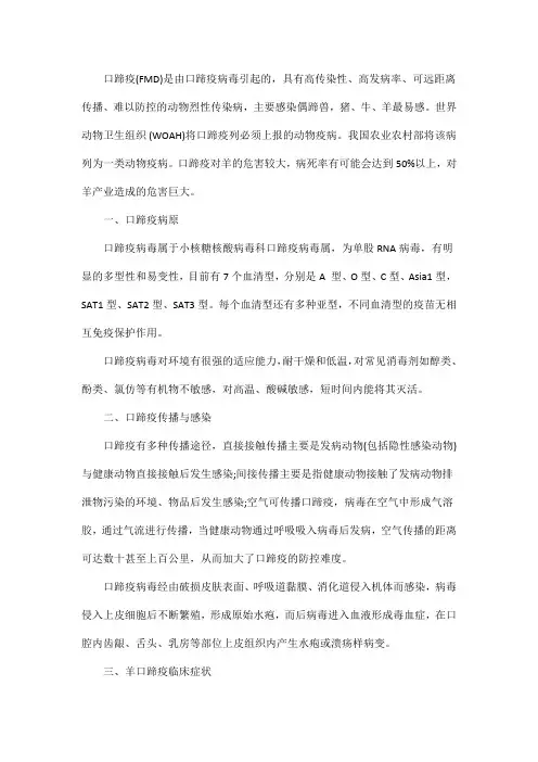 羊口蹄疫的流行特点及防控措施