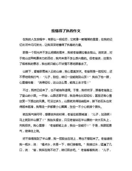 我懂得了执着作文