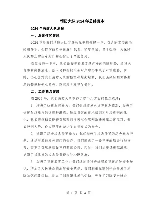 消防大队2024年总结范本