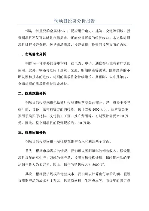 铜项目投资分析报告