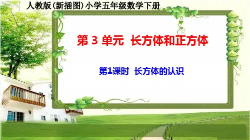 人教版新插图小学五年级数学下册3-1《长方体的认识》课件