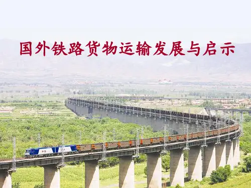 国外铁路货物运输发展与启示