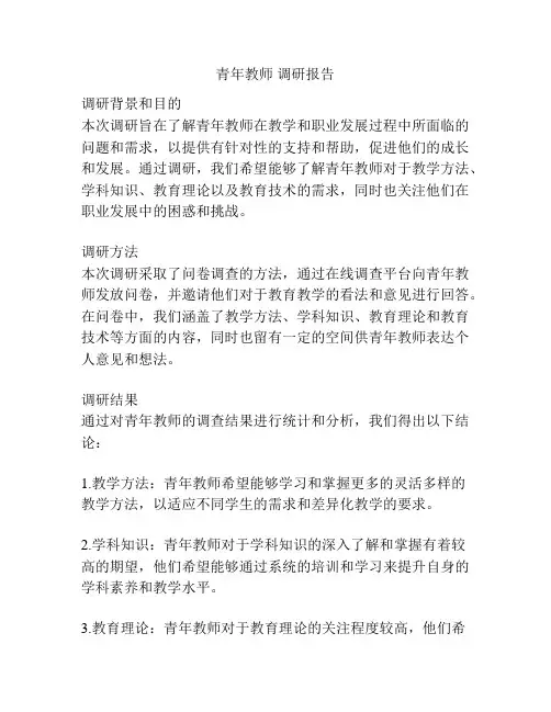 青年教师 调研报告