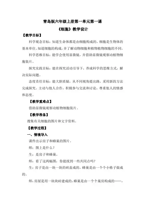 1.1 细胞(教学设计)-六年级科学上册同步精品课堂(青岛版)