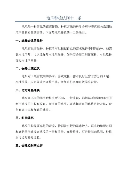 地瓜种植法则十二条