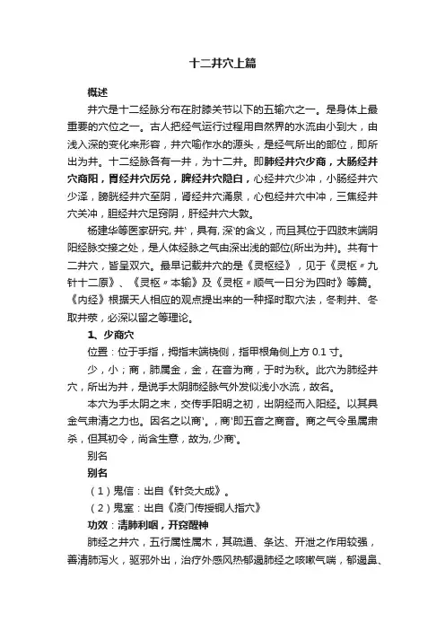 十二井穴上篇