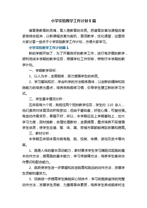 小学实验教学工作计划5篇