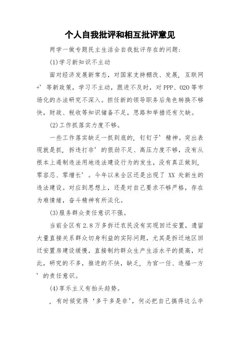 个人自我批评和相互批评意见