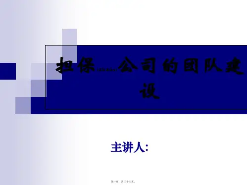担保公司的团队建设(精品PPT)