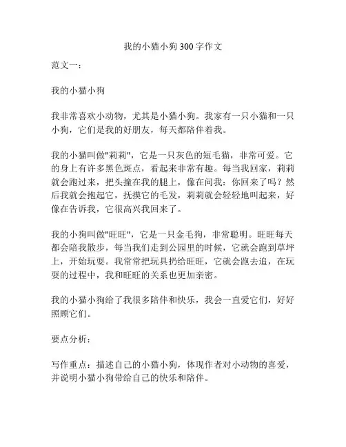 我的小猫小狗300字作文