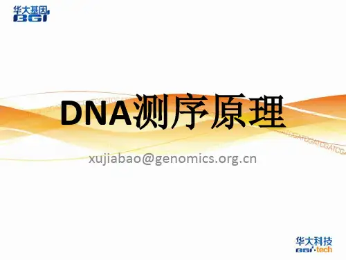 NGS测序原理