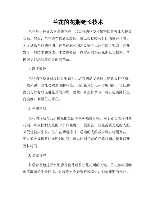 兰花的花期延长技术