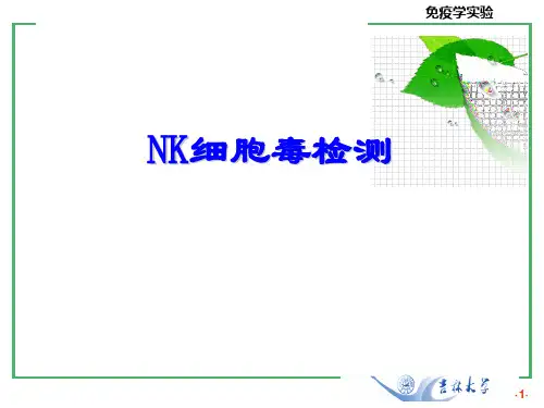免疫学实验：NK细胞毒检测