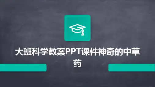 大班科学教案PPT课件神奇的中草药