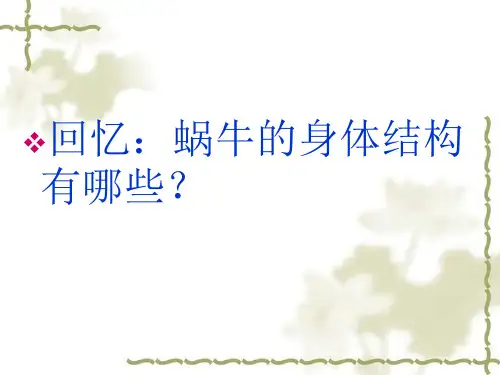 教科版小学科学四年级上册第四单元《身体的结构》课件