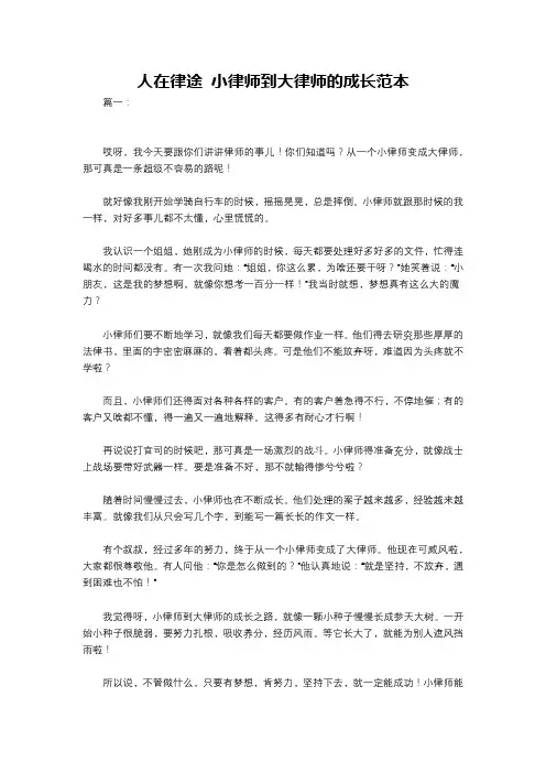 人在律途 小律师到大律师的成长范本
