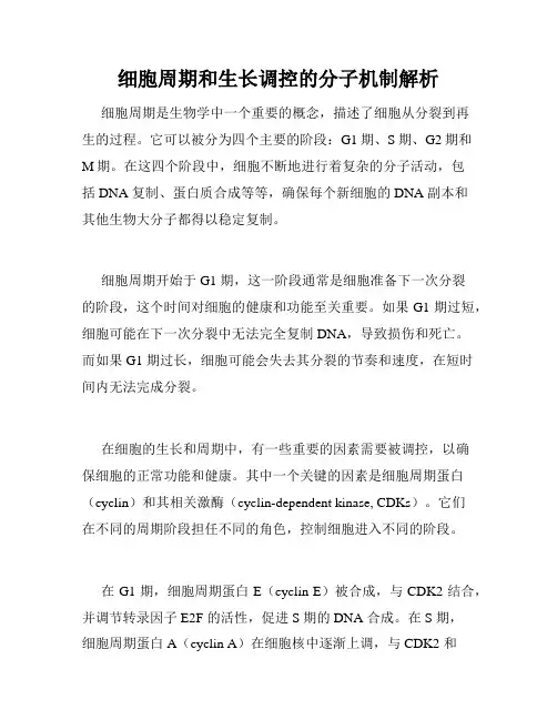 细胞周期和生长调控的分子机制解析