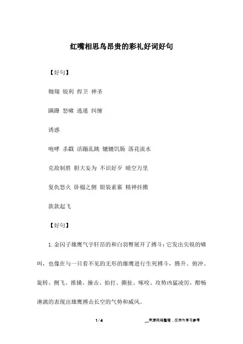 红嘴相思鸟昂贵的彩礼好词好句