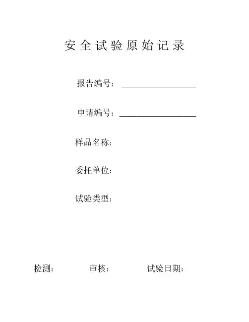 GB4706安全试验原始记录