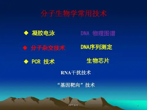 分子生物学常用技术杂交  ppt课件