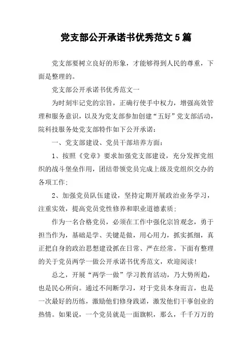 党支部公开承诺书优秀范文5篇