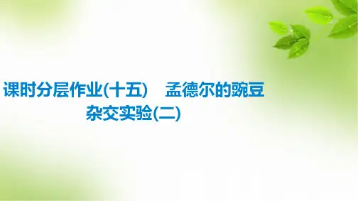课时分层作业15 孟德尔的豌豆杂交实验(二)