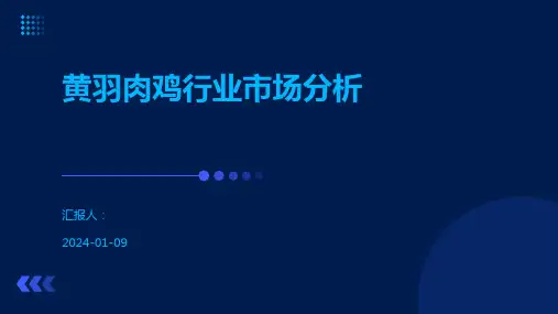 黄羽肉鸡行业市场分析