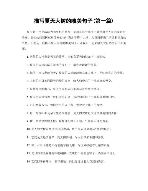 描写夏天大树的唯美句子(精选合集两篇)
