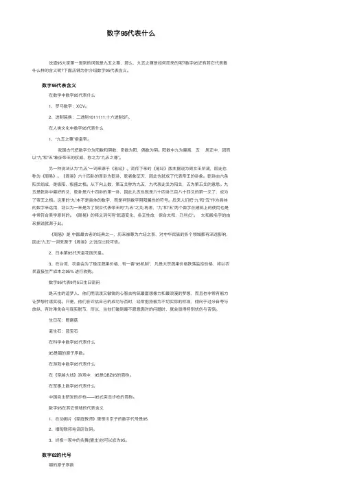 数字95代表什么