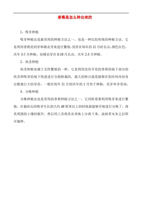 香蕉是怎么种出来的
