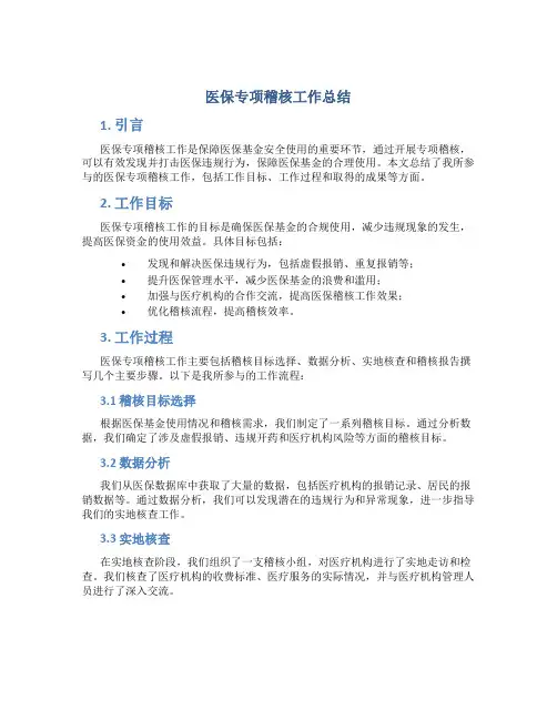 医保专项稽核工作总结