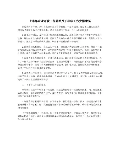 上半年农业开发工作总结及下半年工作安排意见