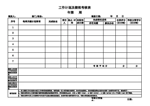 周 日工作计划及绩效考核表