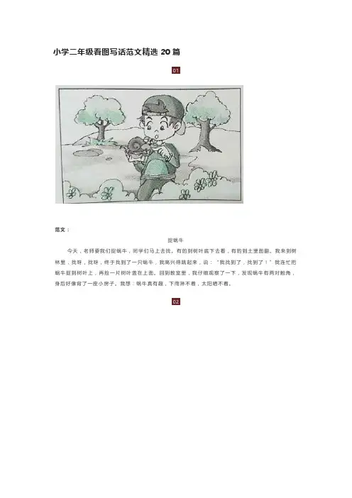 小学二年级看图写话20篇
