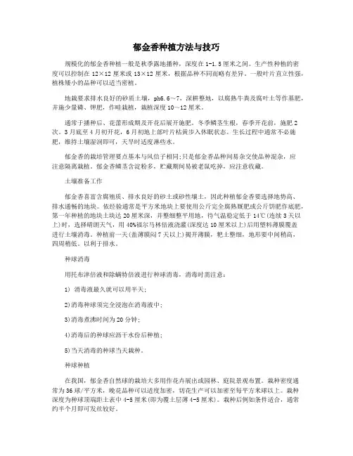 郁金香种植方法与技巧