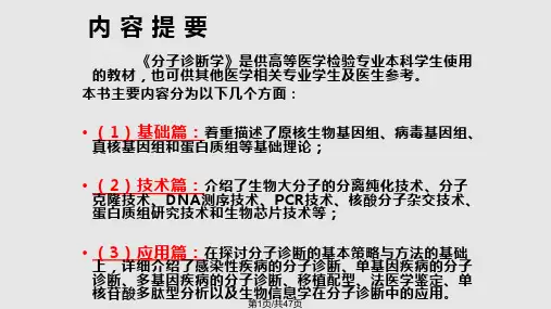 DNA复制、转录和翻译(复习PPT课件