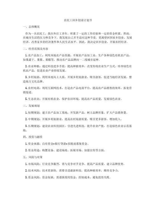 农民工回乡创业计划书