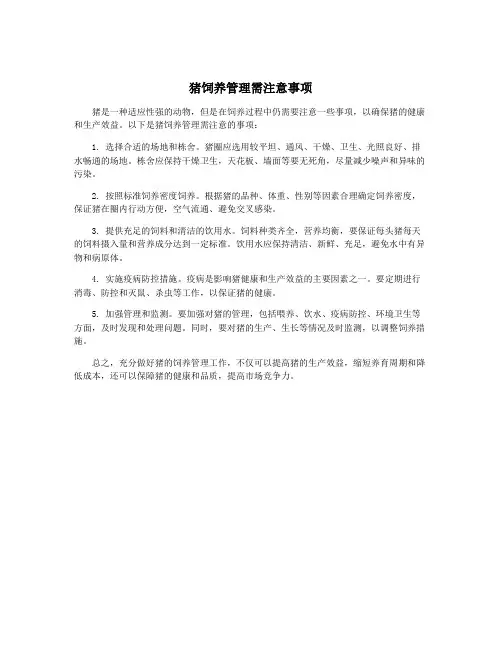 猪饲养管理需注意事项
