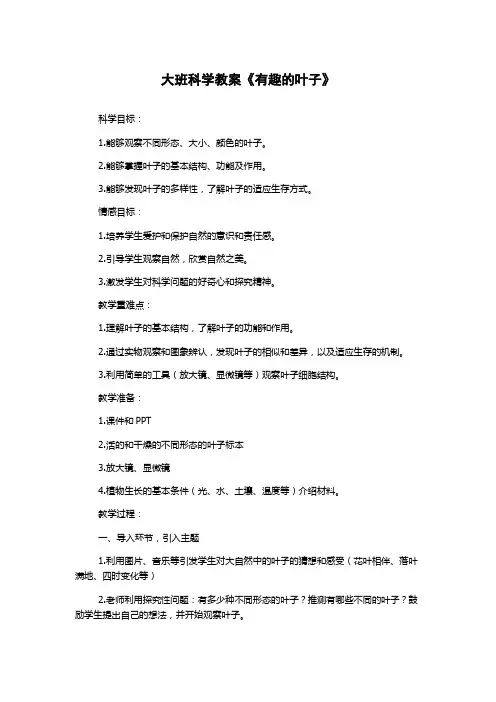 大班科学教案《有趣的叶子》