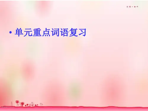 汉语拼音整理与复习
