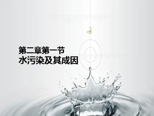高中地理人教版选修6 第二章第一节 水污染及其成因(共28页PPT)