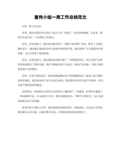 宣传小组一周工作总结范文