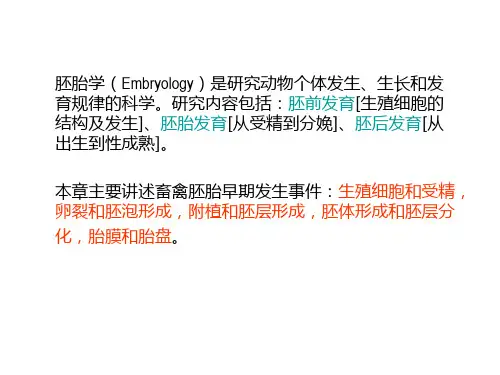 畜禽胚胎学PPT课件