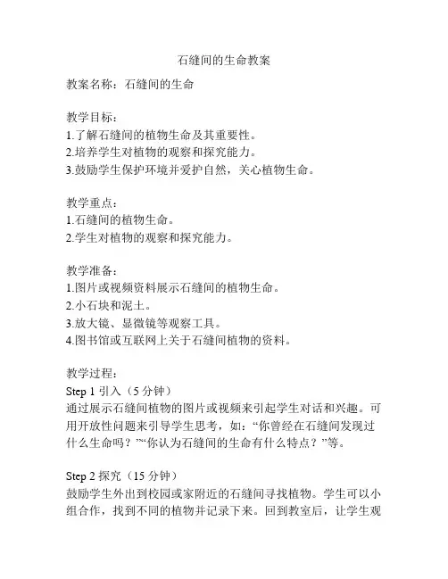 石缝间的生命教案