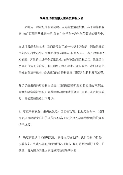 果蝇的形态观察及生活史实验反思