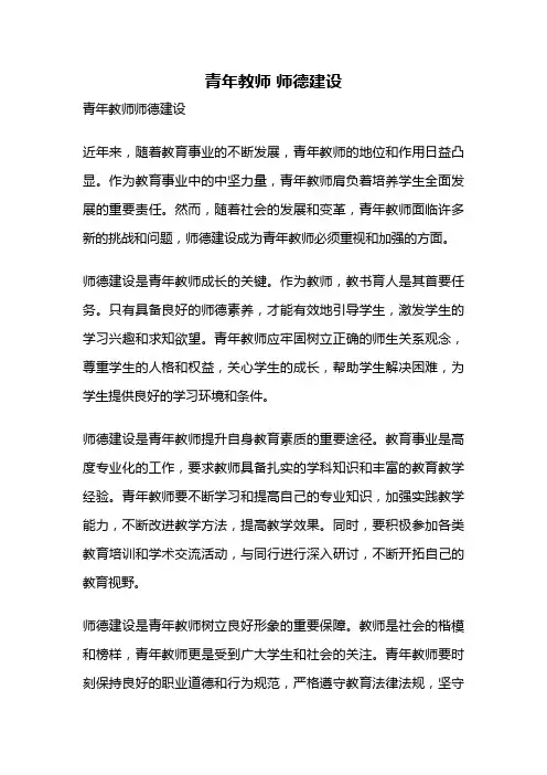 青年教师 师德建设
