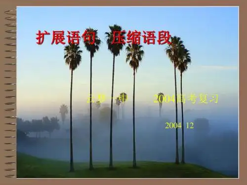 高考复习语句扩展PPT1 (共28张PPT)