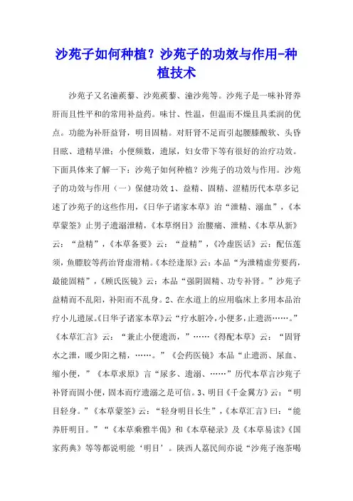 沙苑子如何种植？沙苑子的功效与作用 - 种植技术