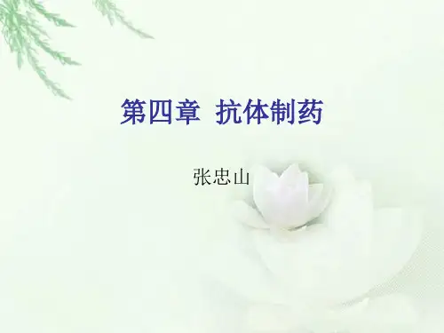 生物制药 抗体药物